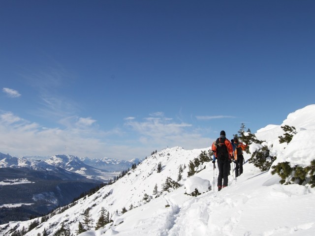 Hotel-Pension Wildschütz