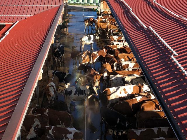 Stefflhof in Saalfelden