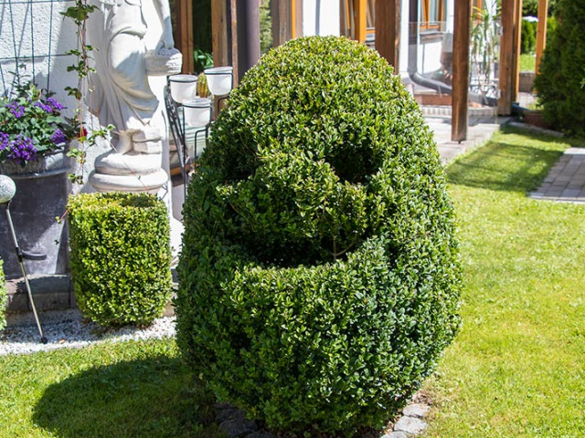 Ferienwohnungen Heigl - Pedratscher