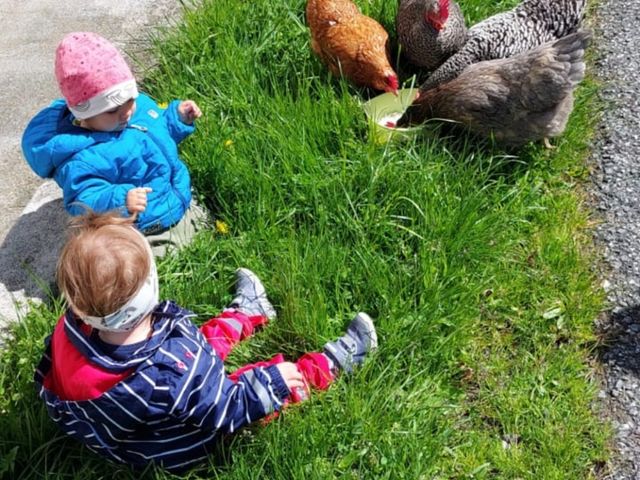 Ferienwohnungen Unterreithof