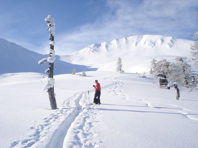 Haus Hagnbichl - Ferienwohnungen in Maishofen 