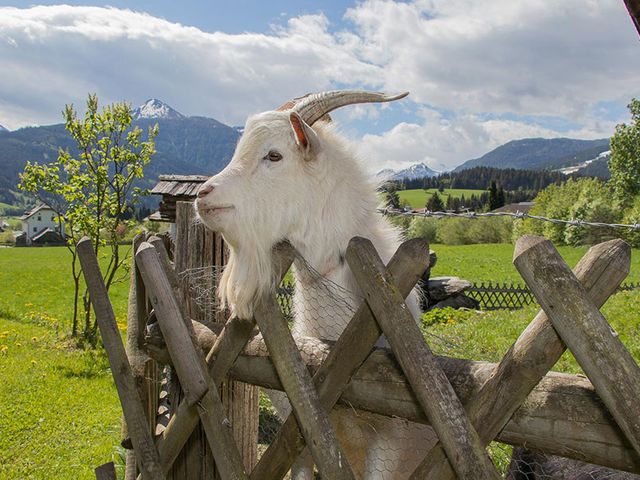 Ferienhof Hinteraigengut