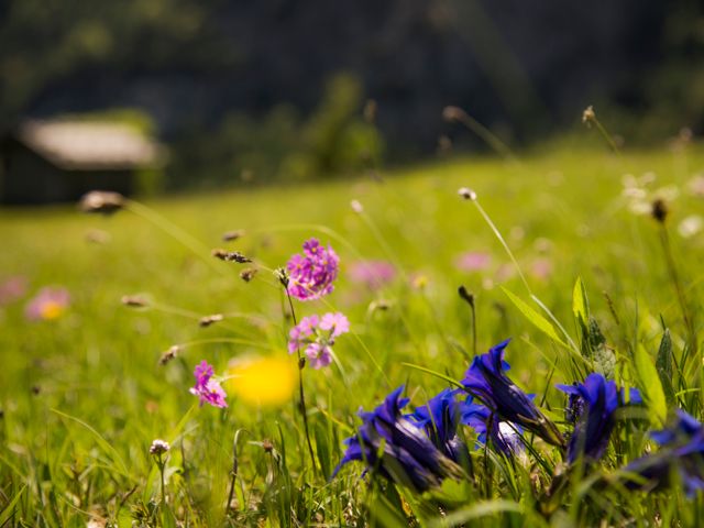 Hotel-Pension Wildschütz
