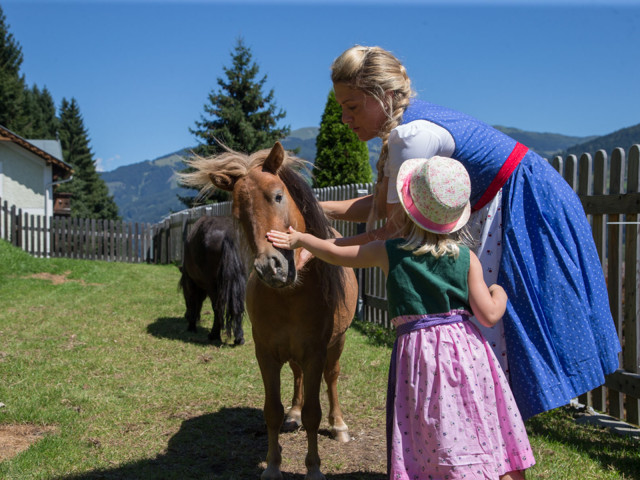 Sport- und Familienhotel Alpenblick in Zell am See