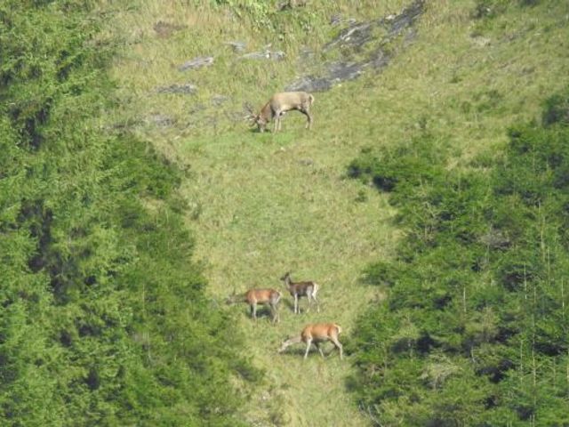 Ferienwohnungen Ganschitter