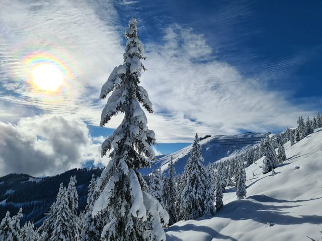 Energieparadies "Palfenhof" Bruck