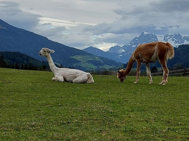 Ferienwohnungen Steinhäusl