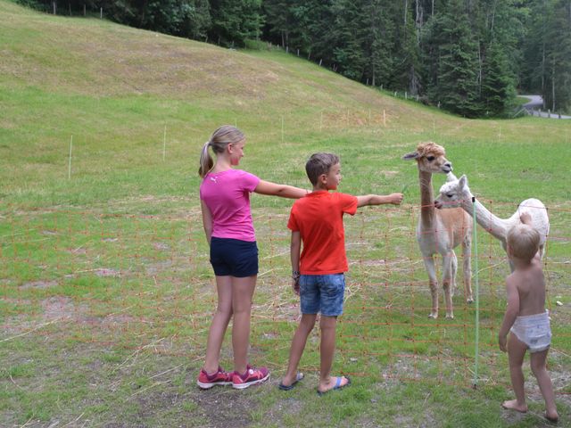 Ferienwohnungen Steinhäusl