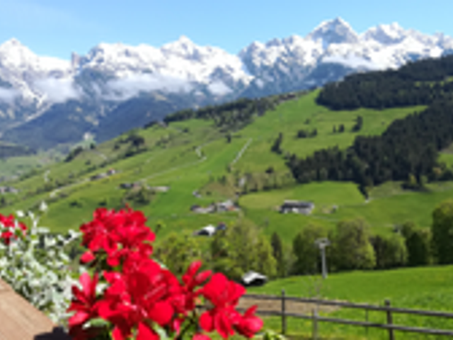 Ferienwohnungen Berg Sait