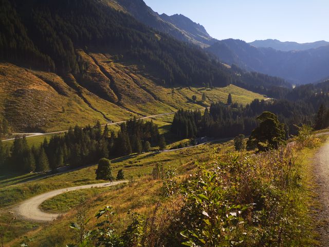 Sportchalet Viehhofen Appartements