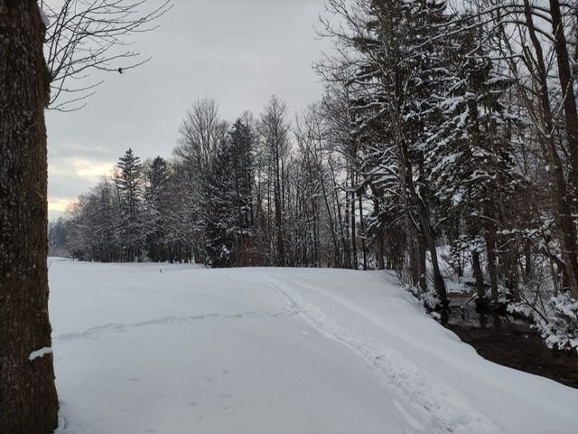 Ferienwohnungen im Golfhotel Bad Ischl