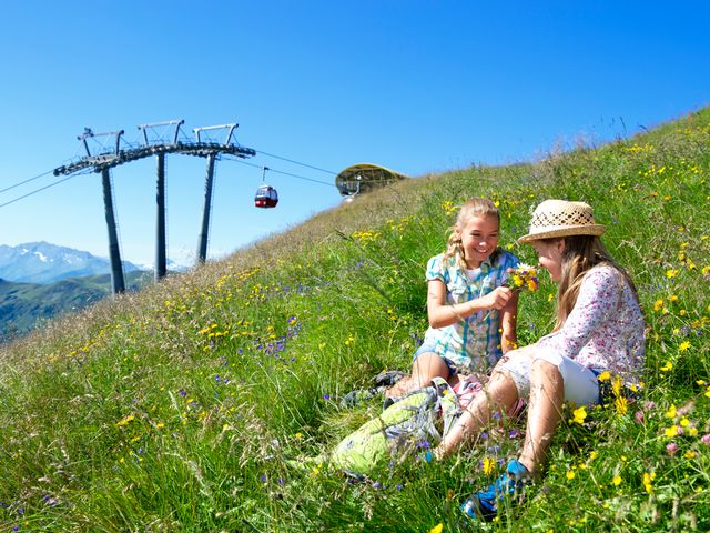 Ferienwohnungen Stefanie & Bergerhäusl