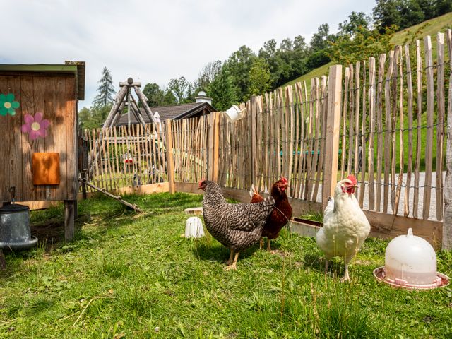 Ferienwohnungen Viehhofbauer in Maria Alm