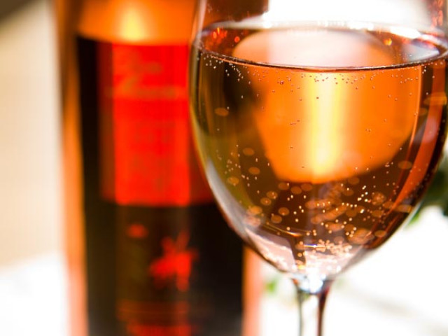 Steiner's Wellness-Appartements